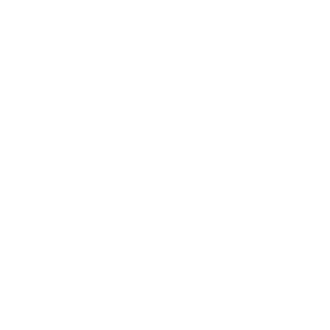 PalmettoFuneralGroup